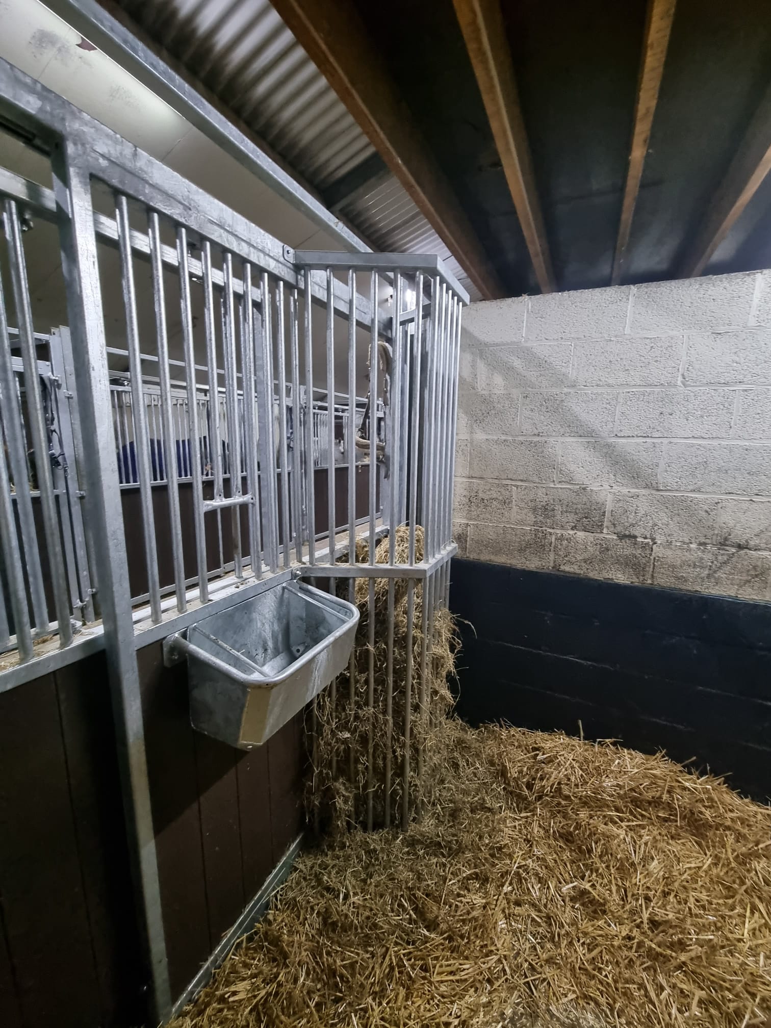 PHOTO-2022-12-08-15-34-51