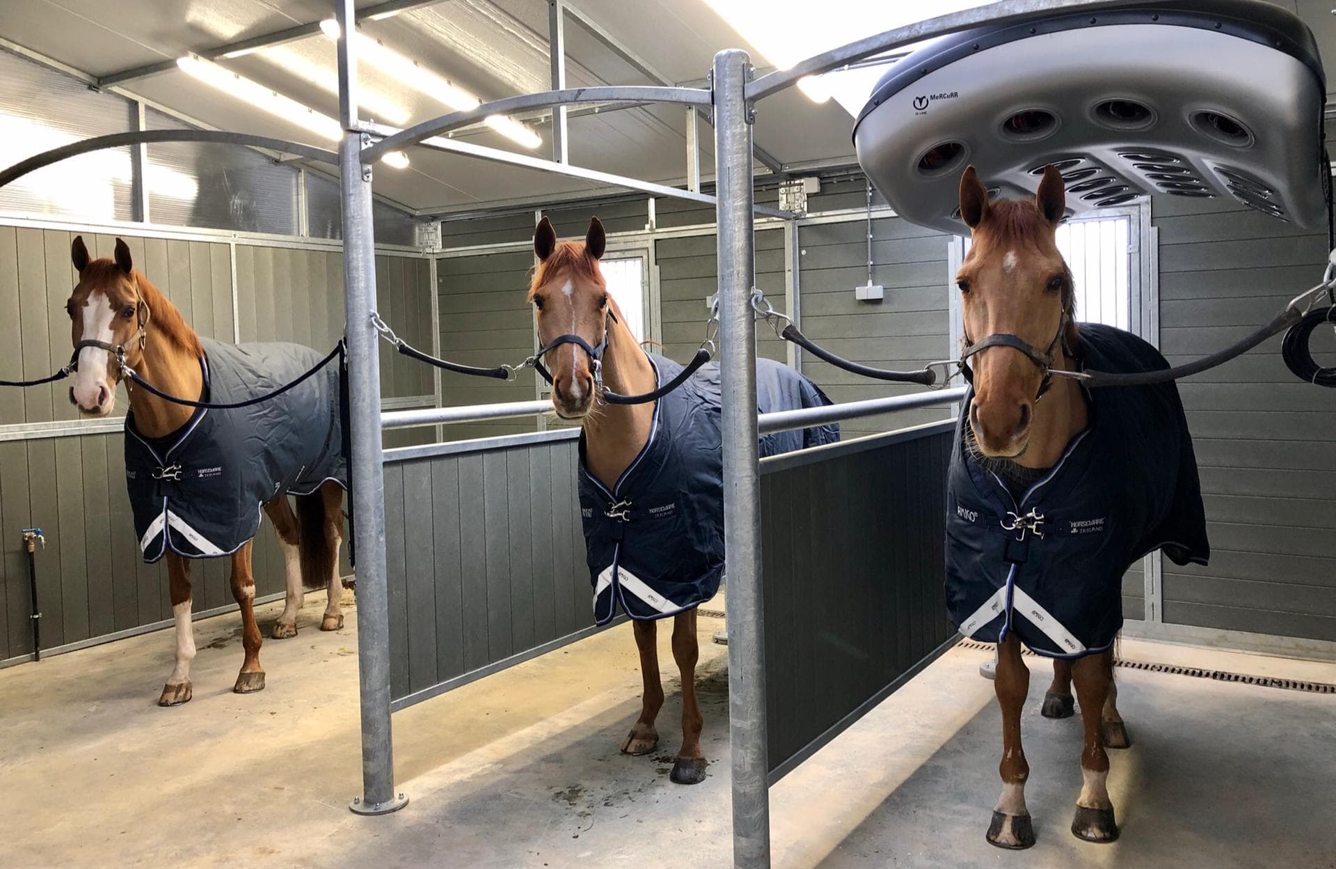 Wasplaats govaplast galva solarium